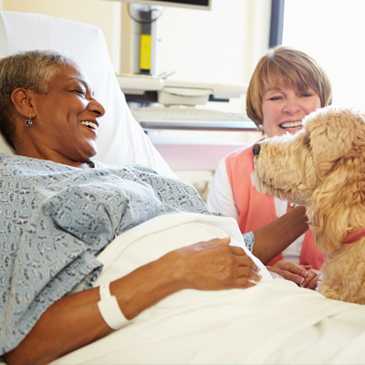 emotional-support-companionship